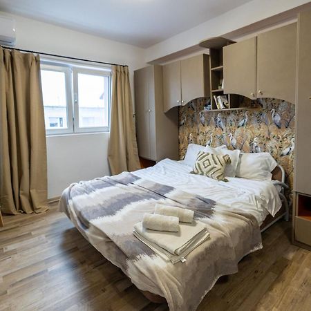 Cozy Studio Retreat - Quiet, Premium Stay Timişoara Extérieur photo